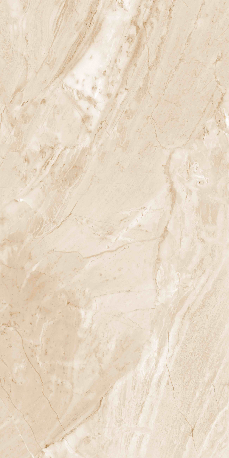 Botanic Onyx Polished 600x1200